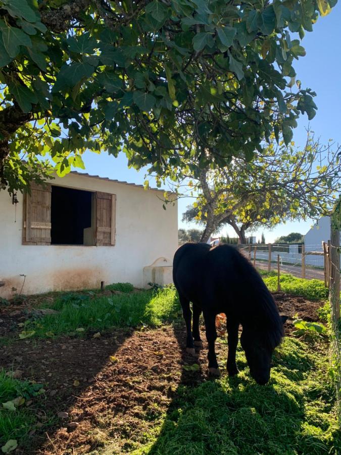 Herdade Da Maridona - Agroturismo Ештремош Екстер'єр фото